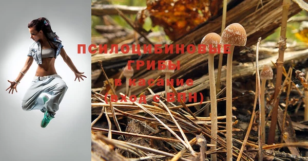 ГАЛЛЮЦИНОГЕННЫЕ ГРИБЫ Армянск